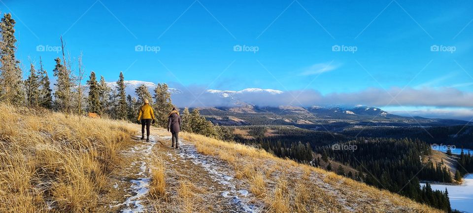 Walking in the ice cold fall afternoons