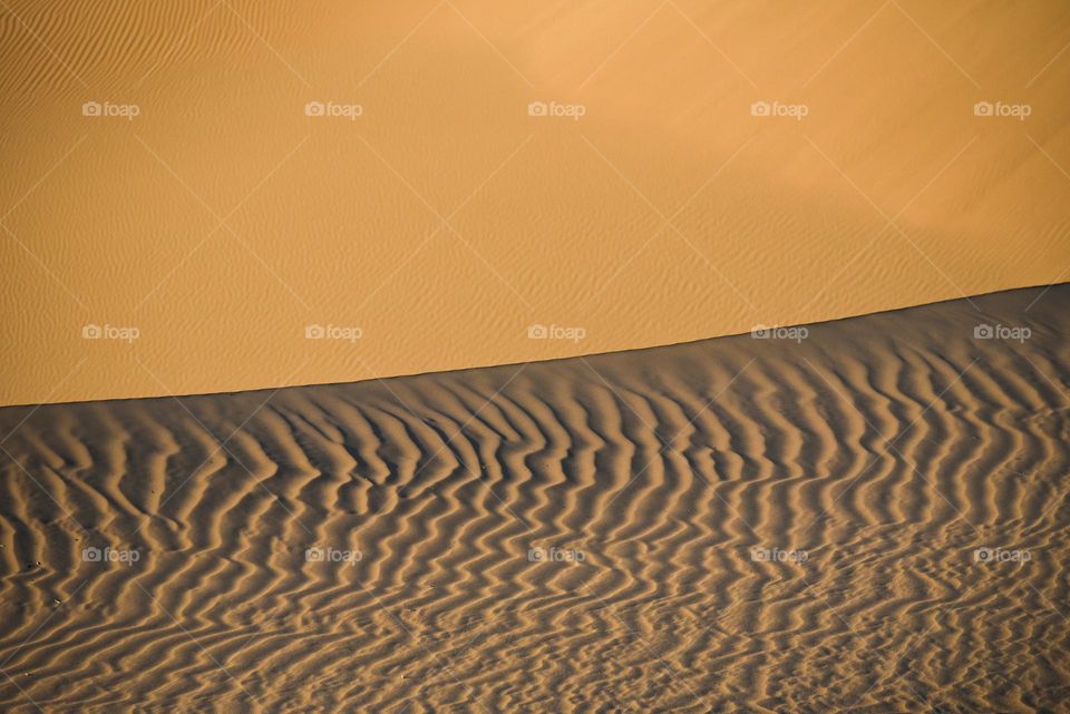 Ridges and ripples of golden sand in a desert showing the forces of nature and the contrast and beauty of the landscape
