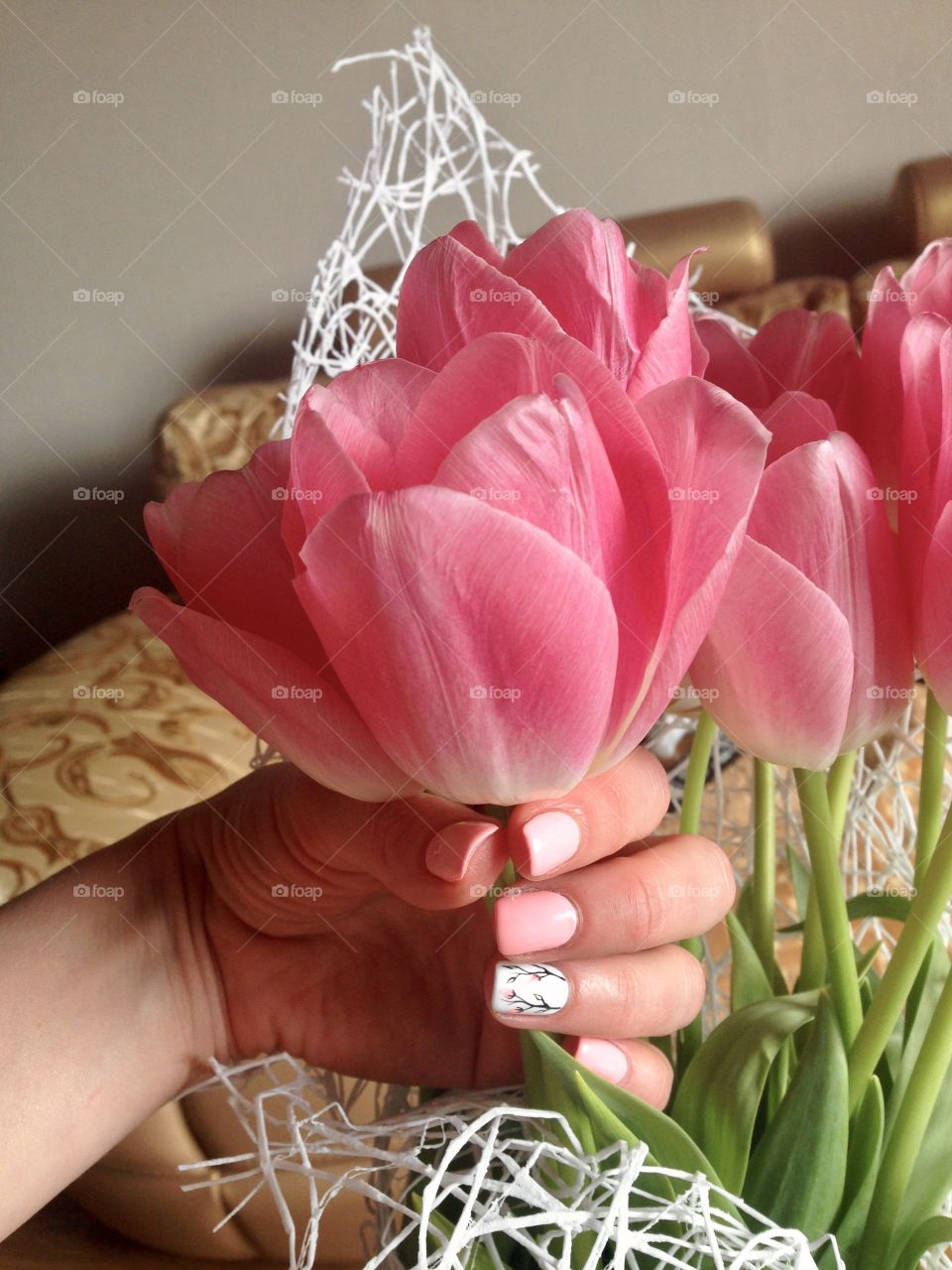 Hand holding a tulip