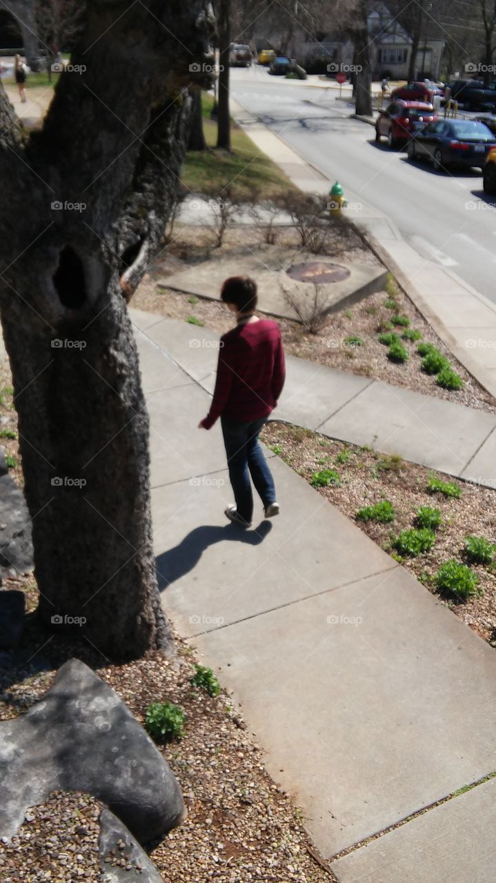 Walking on the web of sidewalks on campus.