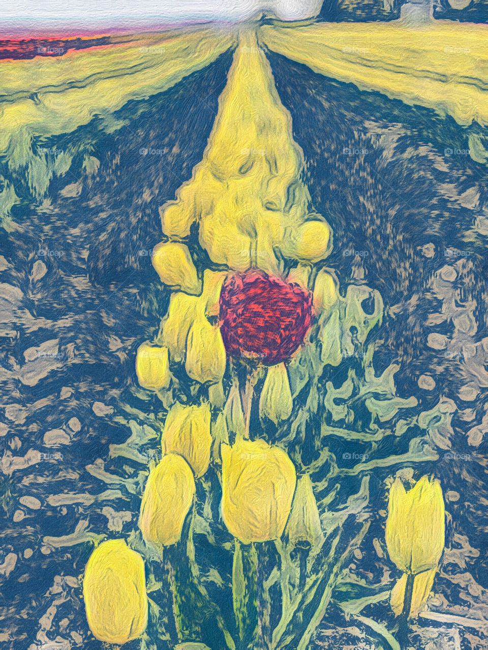 Foap Mission Color! Red Tulip in a Field of Yellow, Illustration Created From Original Photography 