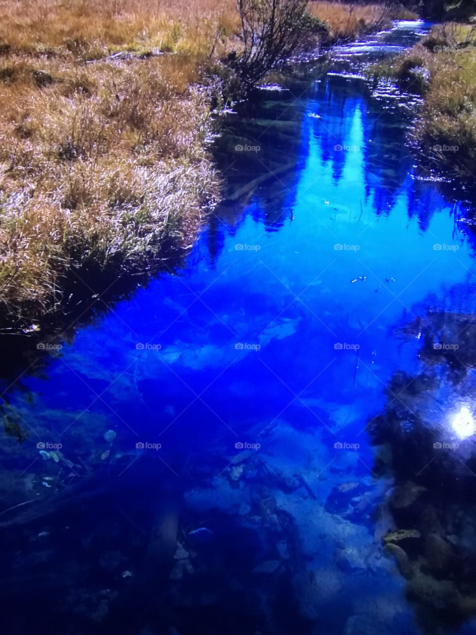 Blue waters 