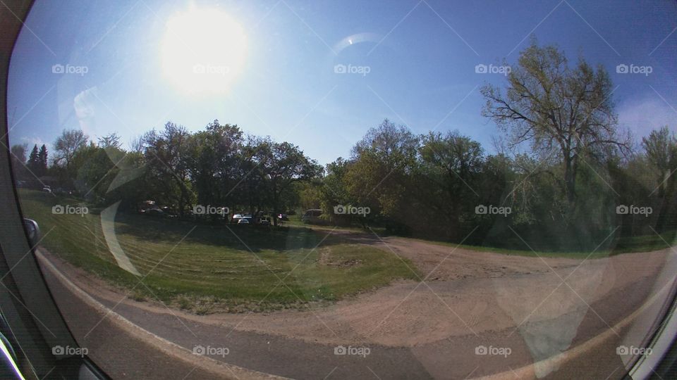 Landscape, Tree, Road, Park, Light