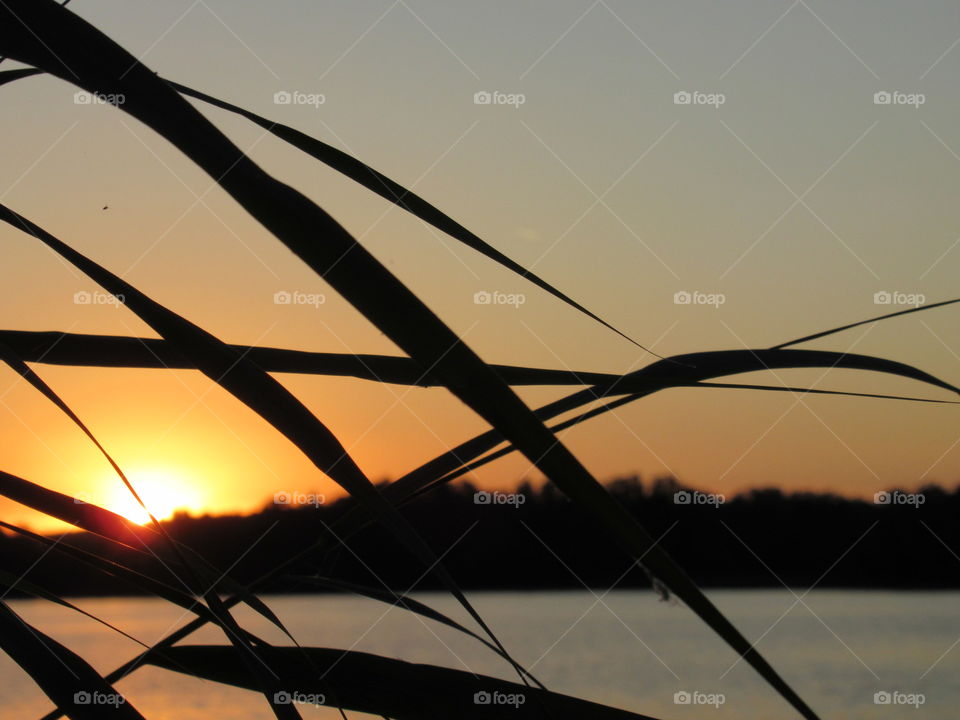 sunset on the Voronezh River in the city reservoir