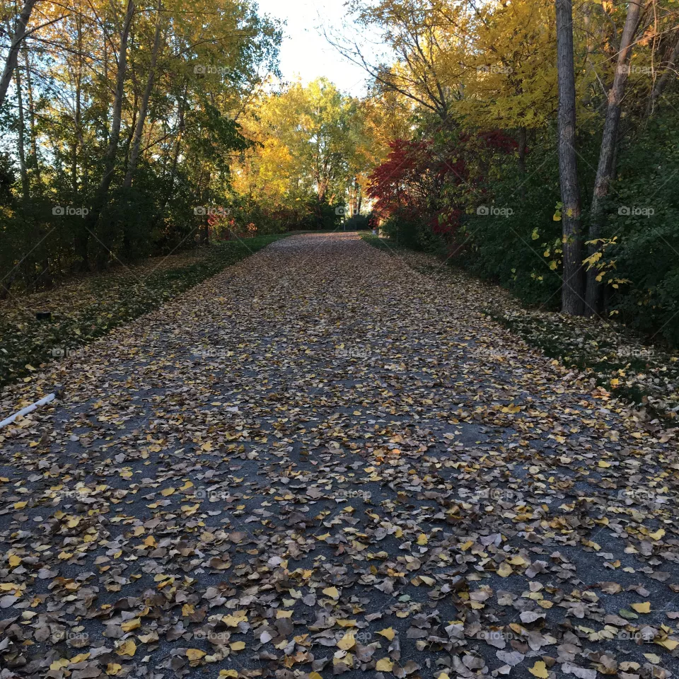 Autumn 