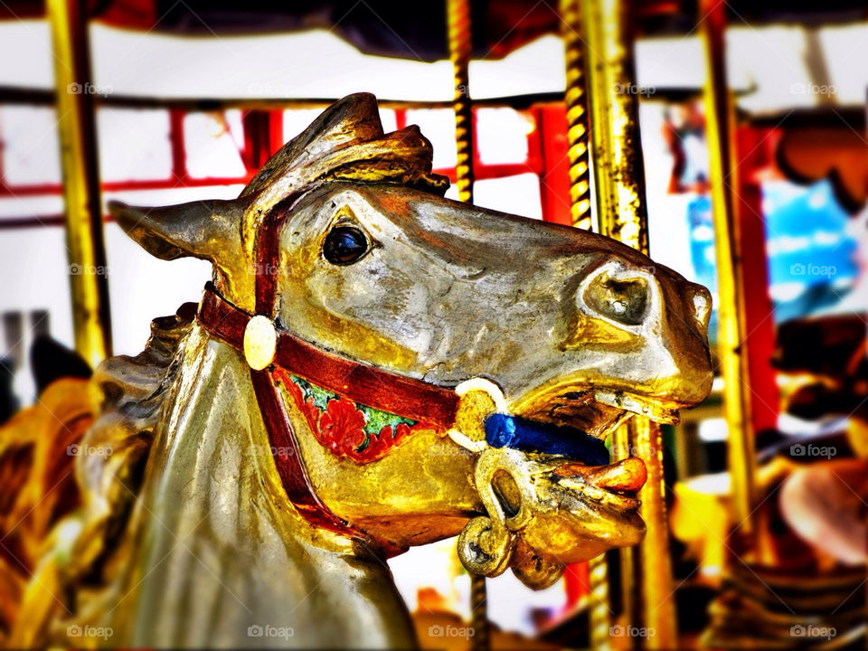 horse carousel trapped fear by landon