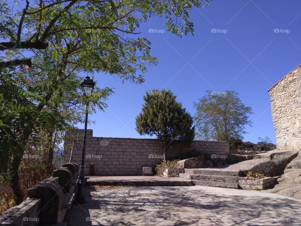 Best of 2021: Nature