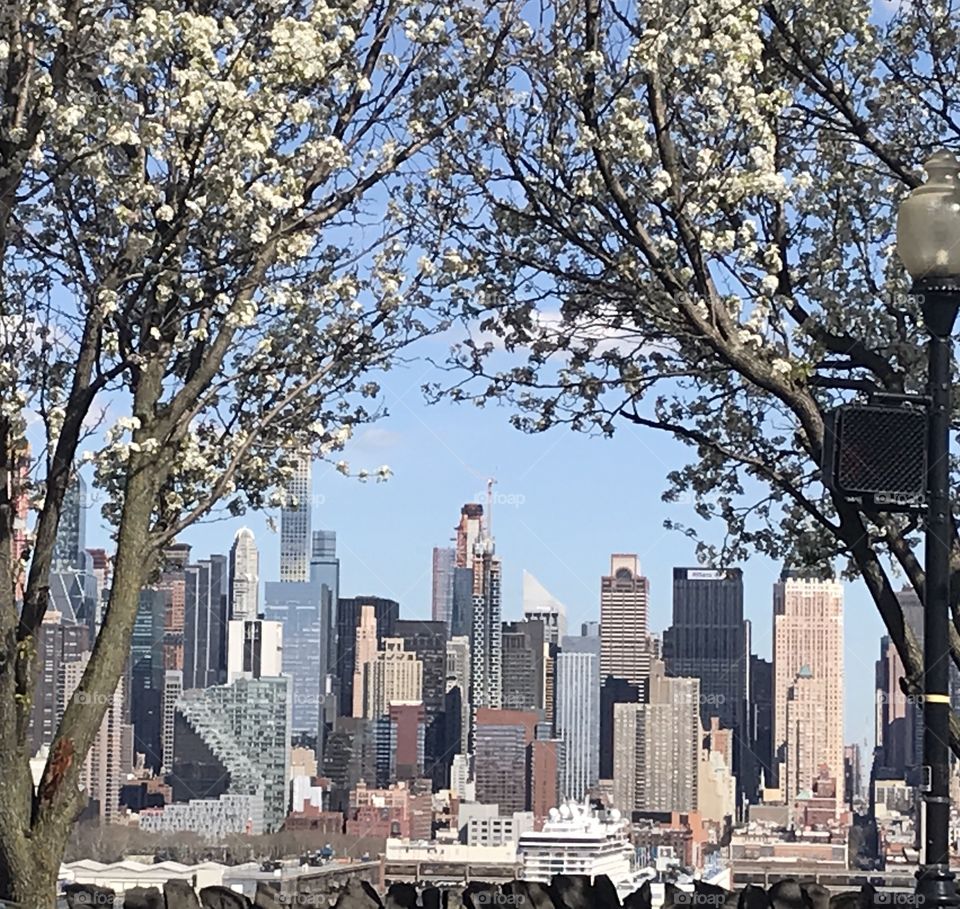 Manhattan Skyline Tree