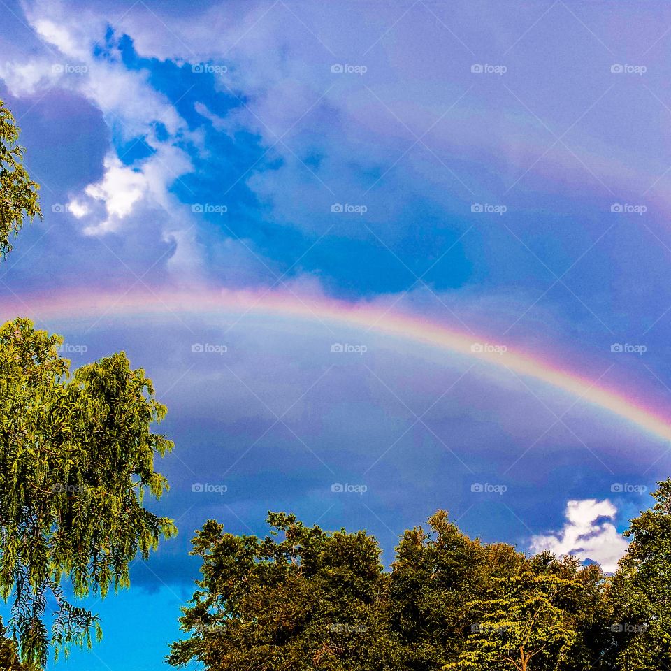 Rainbow. A rainbow after today's storm.