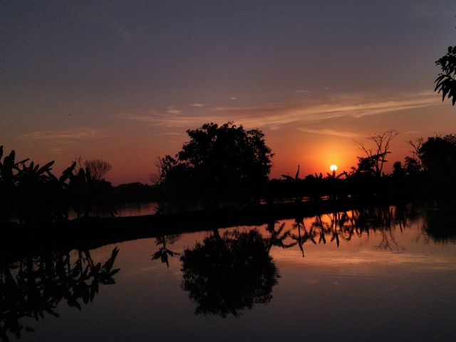 Sunrise gives the effect of only seeing the shadow of a tree and the shadow in the water. a very beautiful shadow