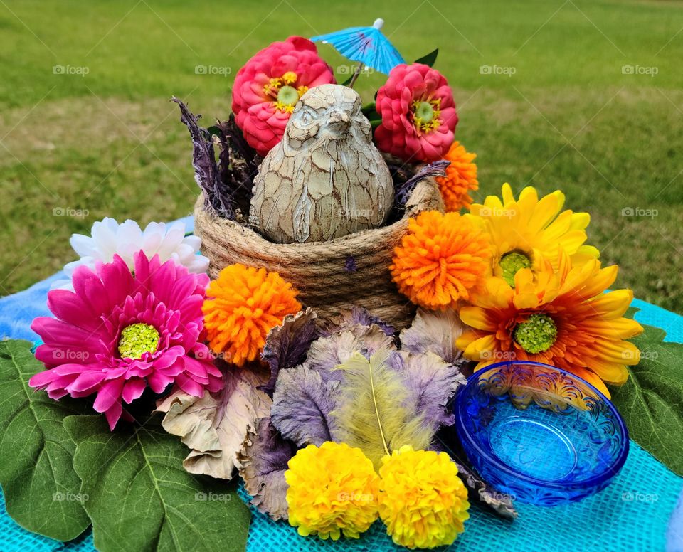 Colors of Spring - Colores de Primavera