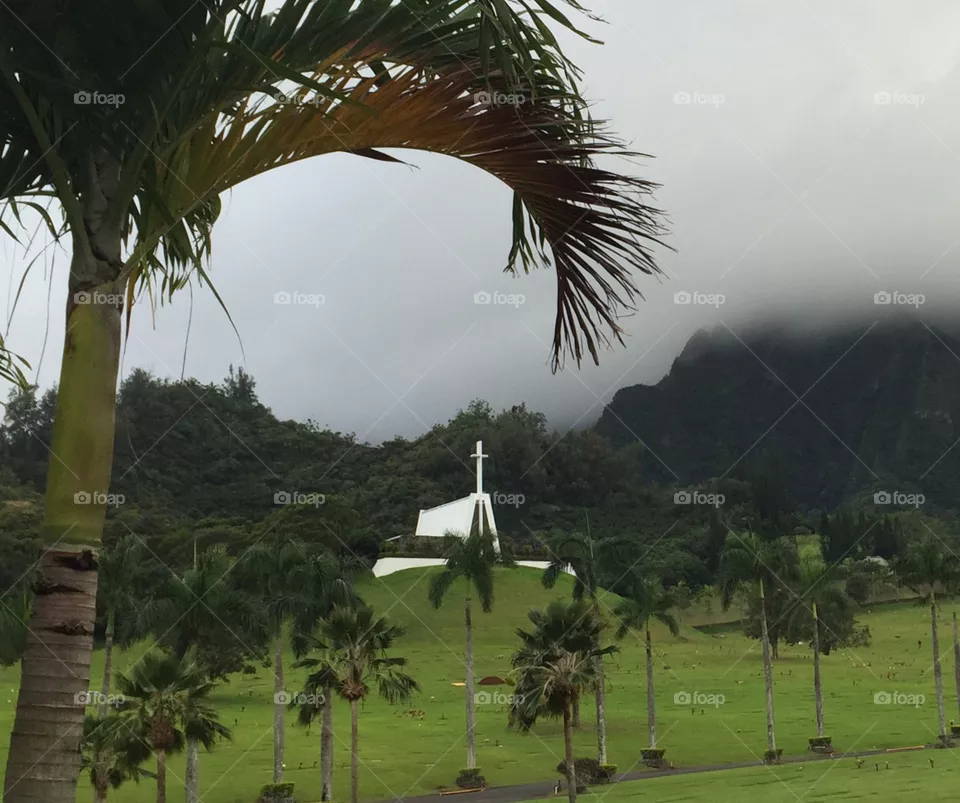 Oahu
