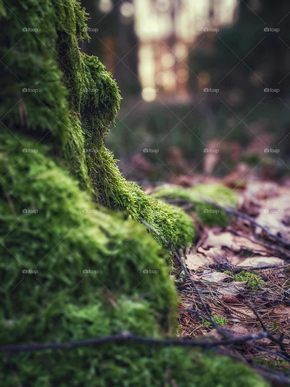 Nature makes its own colour combination.