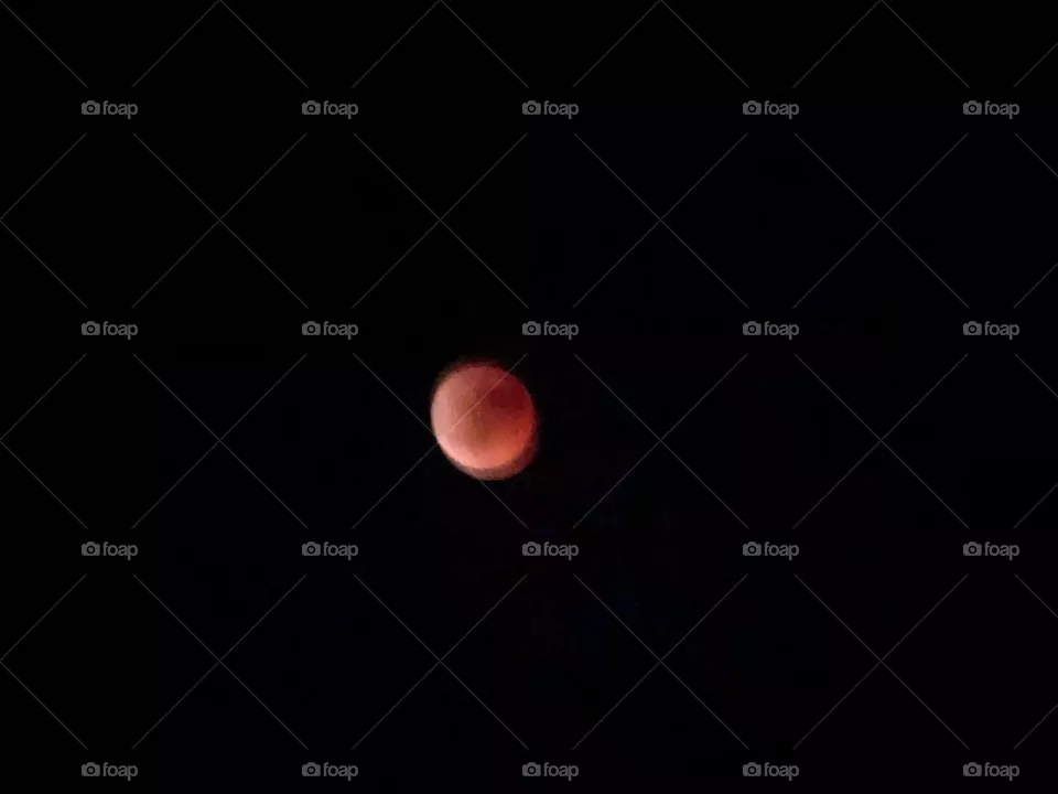 Mond 
