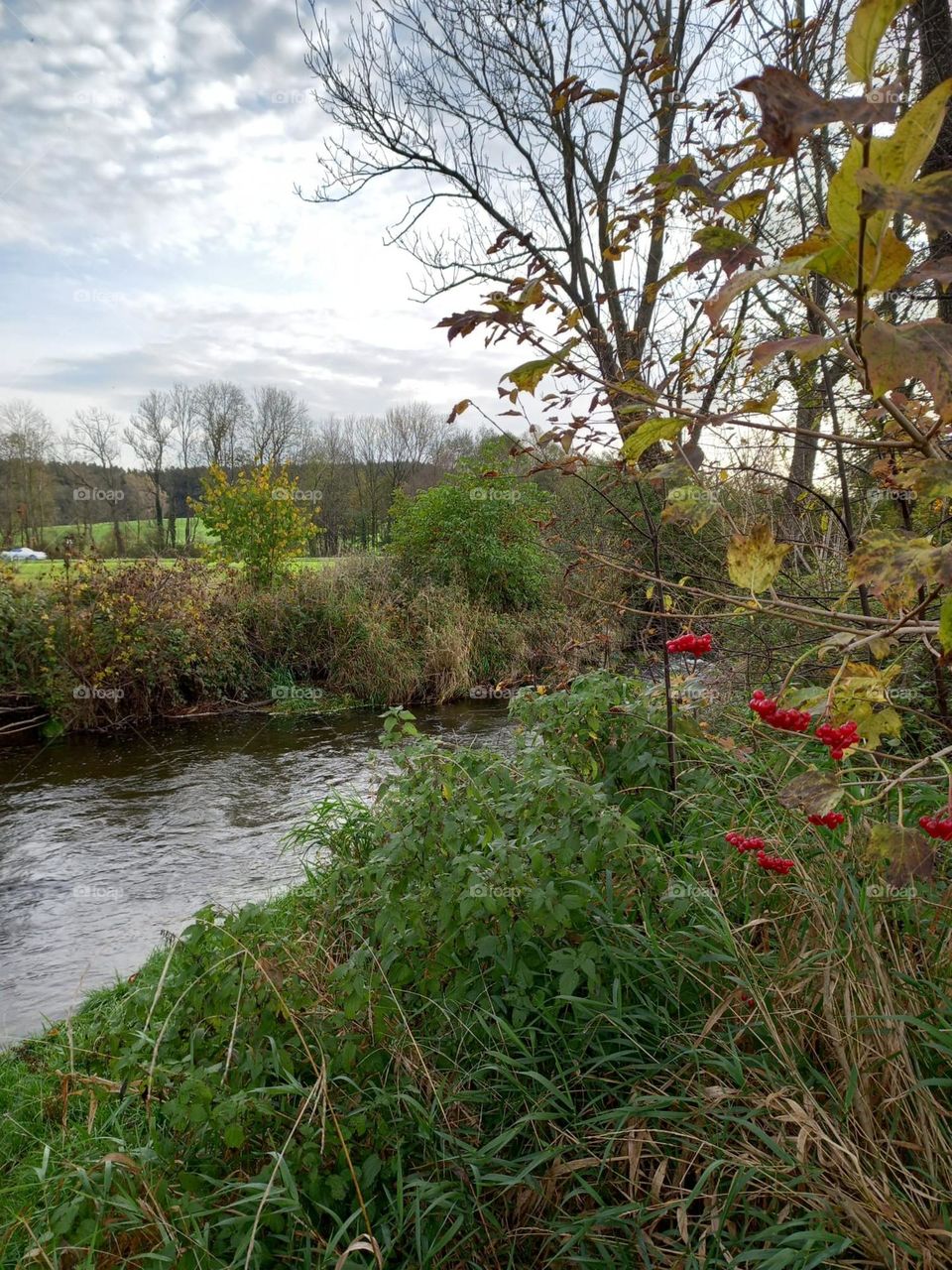 Autumn Day by the Stream