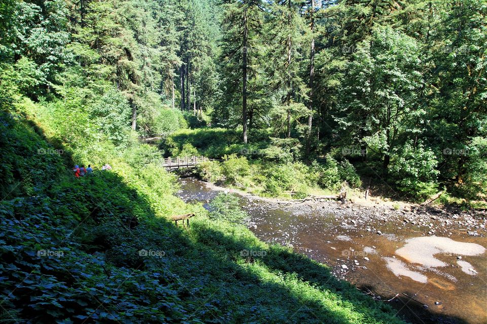 Silver Falls State Park