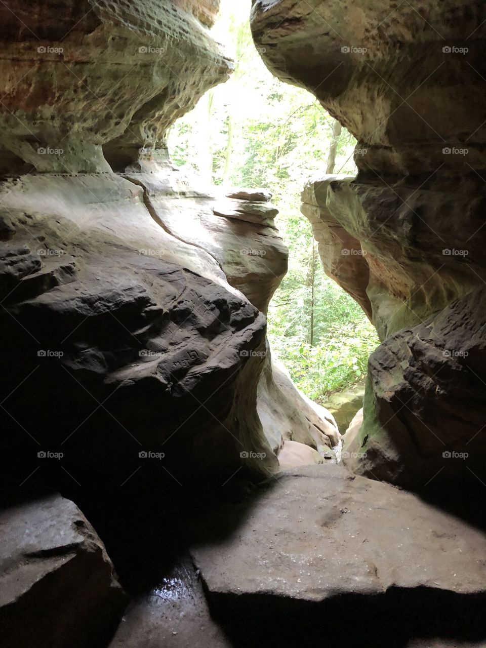 Rock House Cave opening 