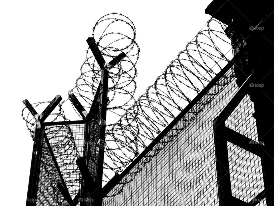 The beauty of black and white