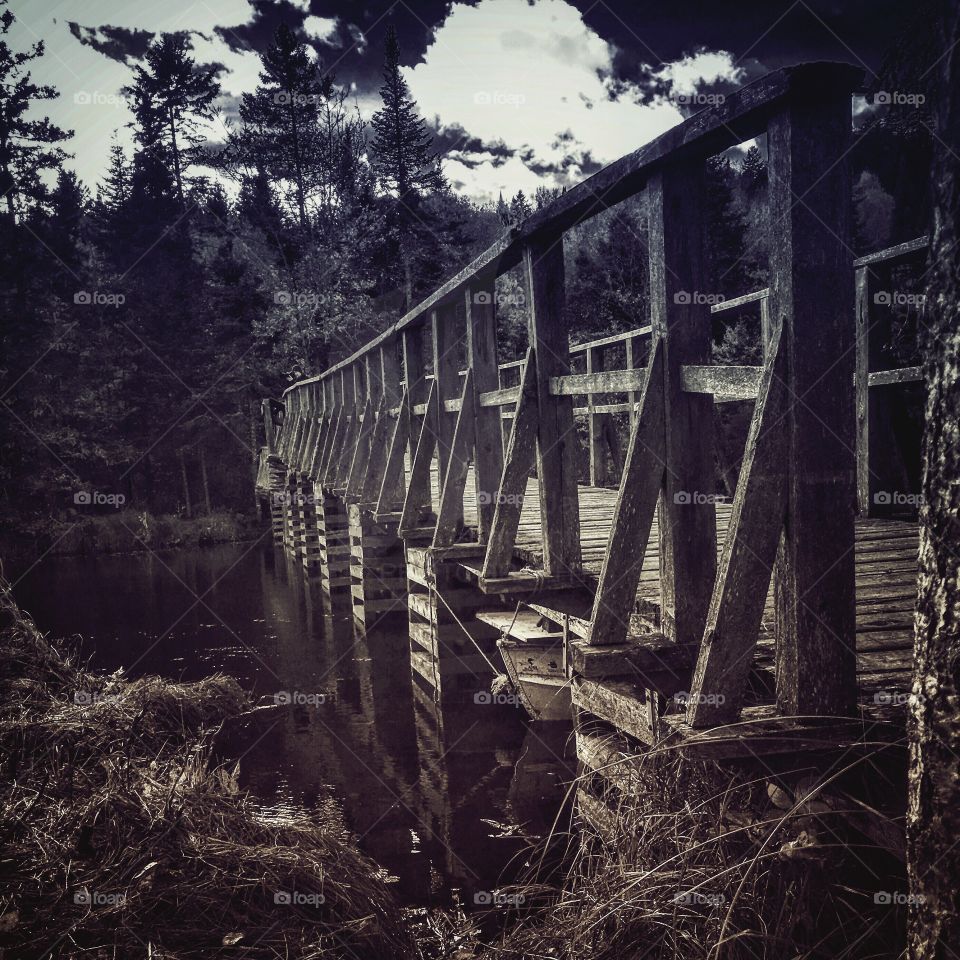 Trial wooden bridge 