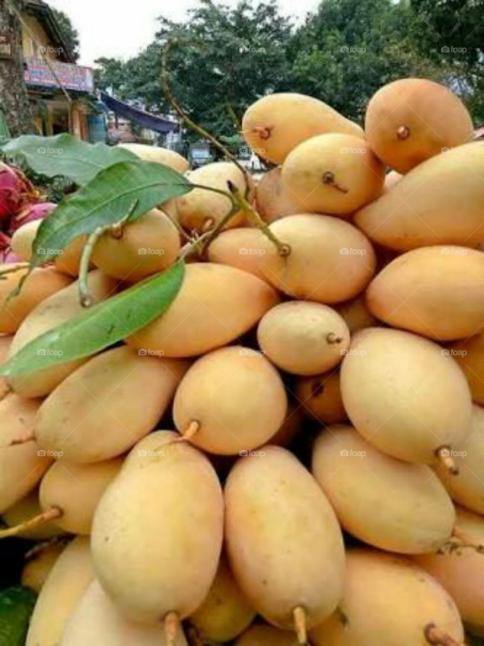 Fresh fruits and sweet mango.