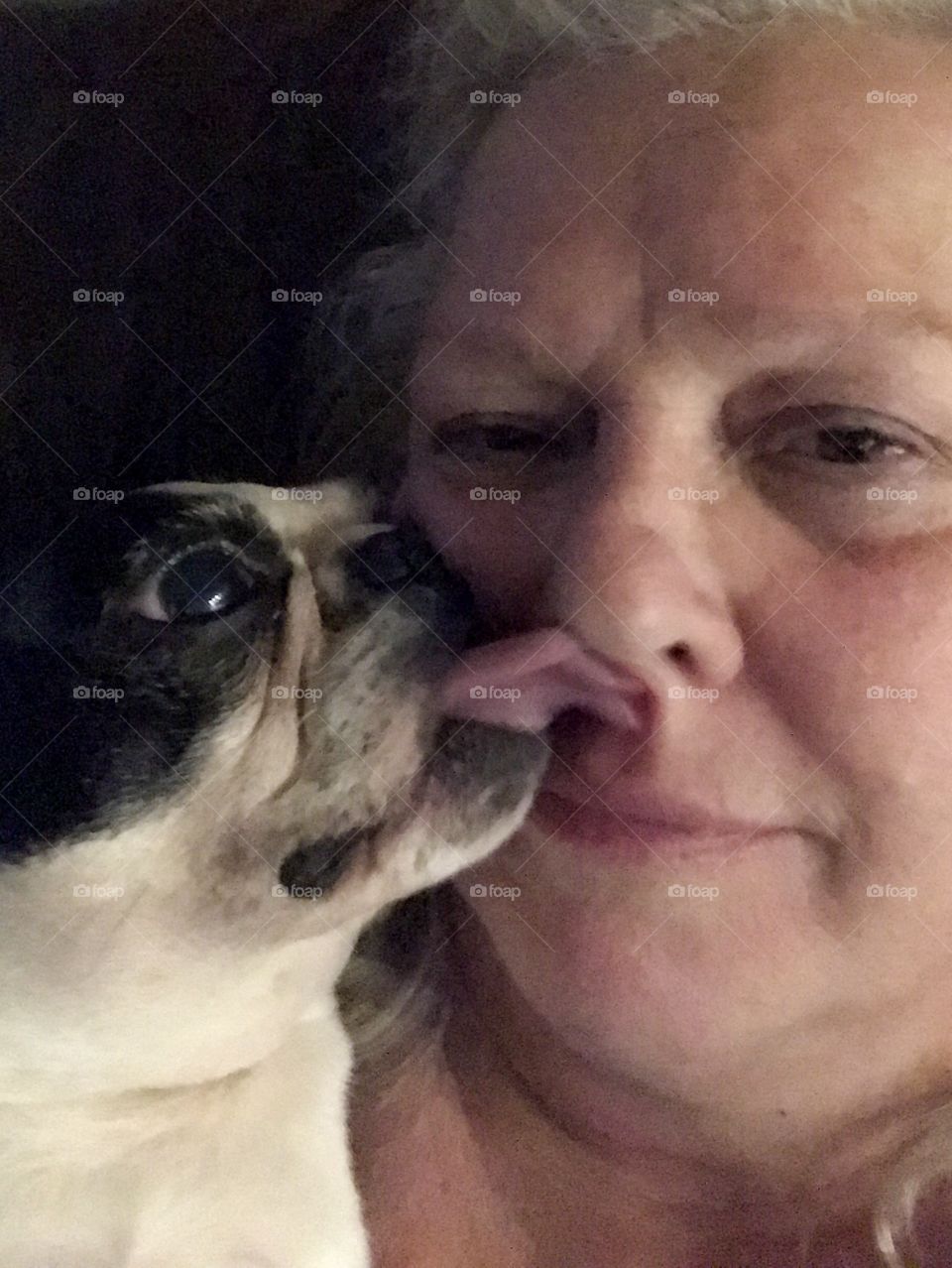 Selfie time! Selfie of me & one of my Boston Terriers. I was feeling a little ill today from some bug & thought I’d take a picture of us resting together. Soon as my hands are distracted it’s tacit approval to lick me anywhere. Today the nose.