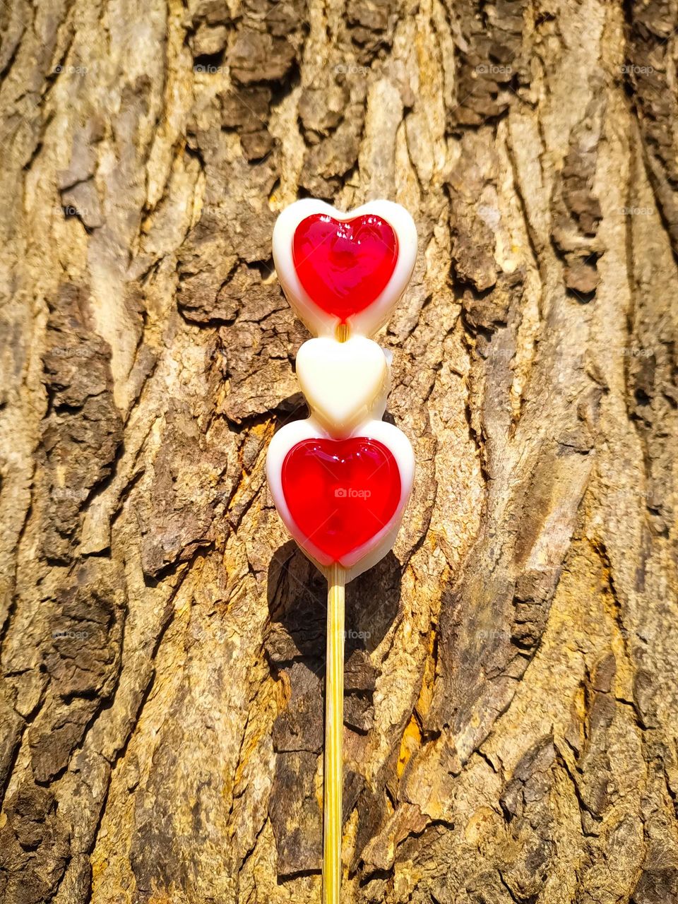 A red and white heart shape lollipop candy on tree wood background. Concept for Valentines Day