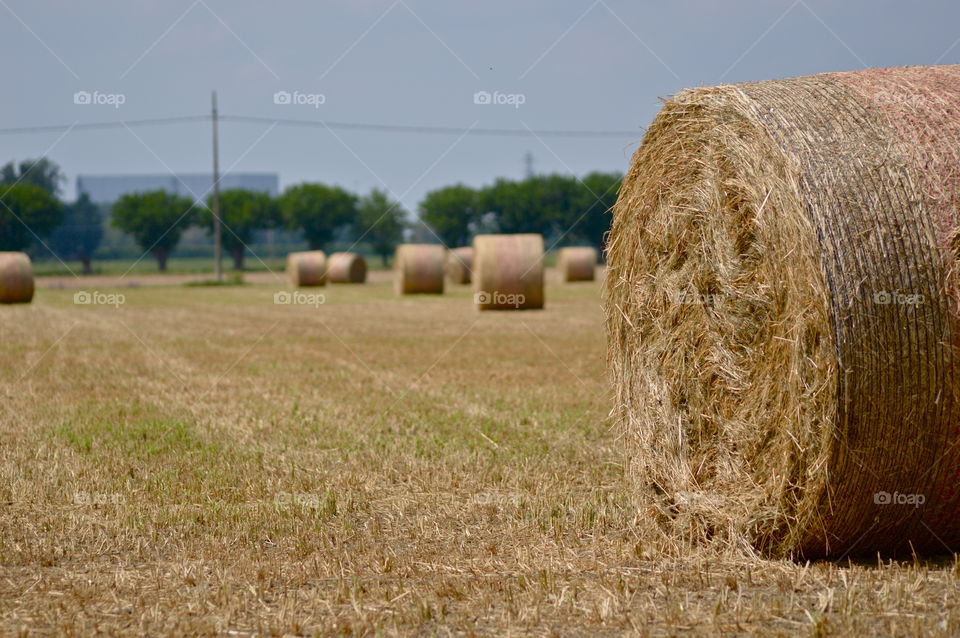 Countryside