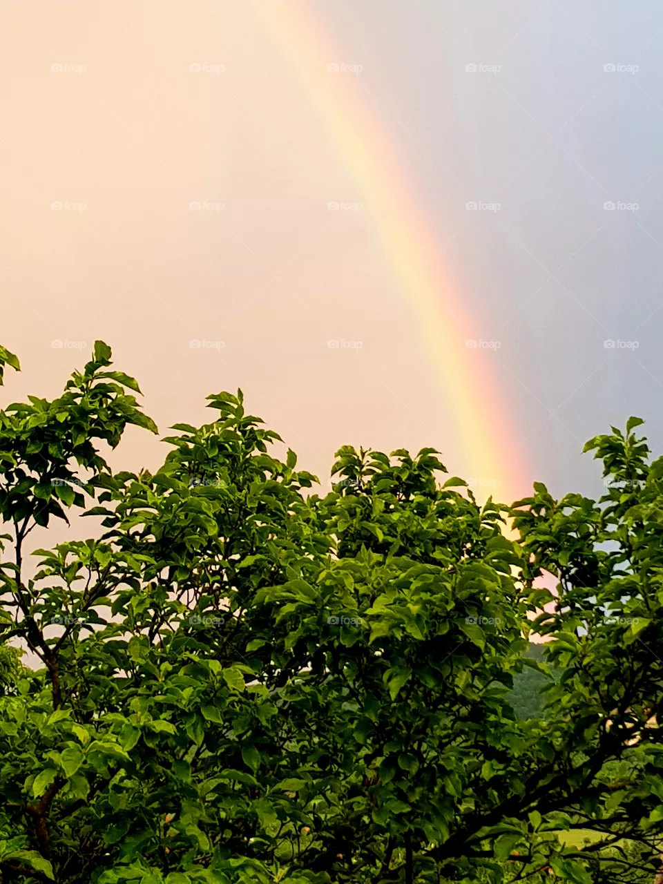 rainbow