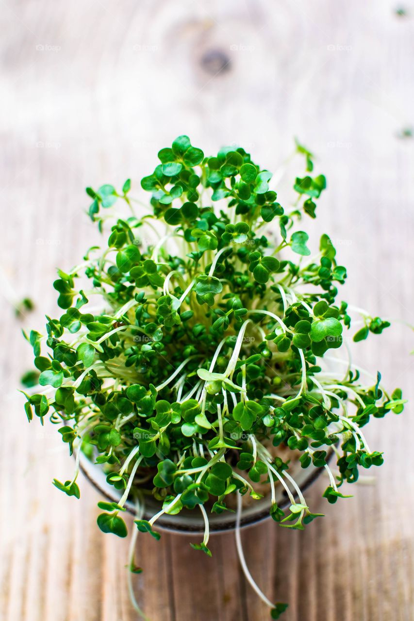 green 'color' 'image'