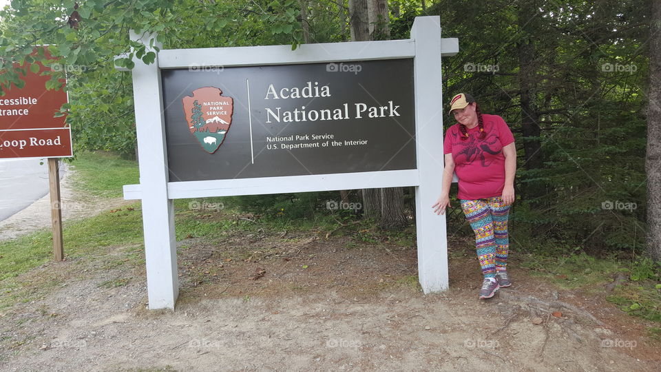 Greetings from an American summer of adventure. Hiking, camping, living at Acadia National Park.