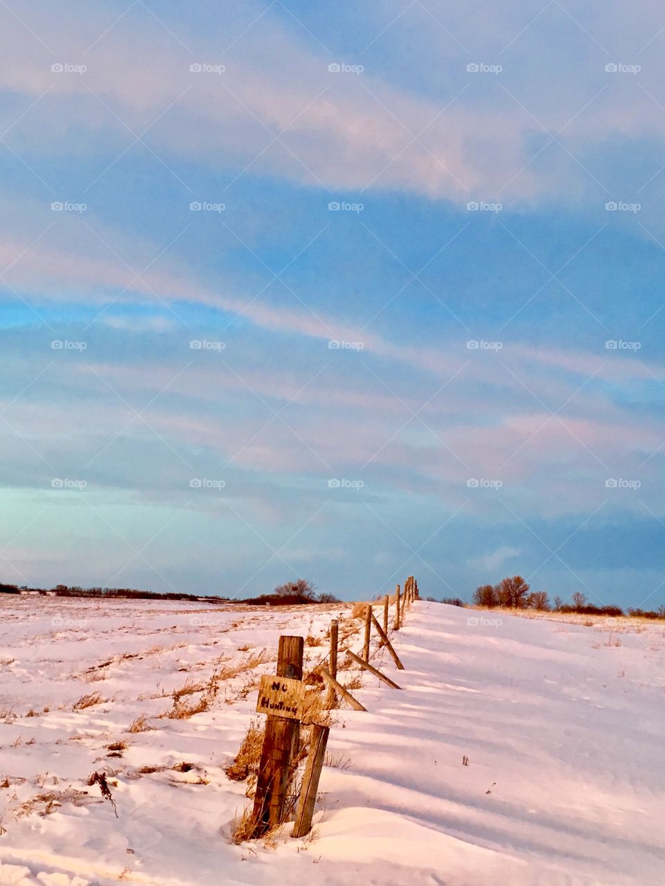 Farm fence line 