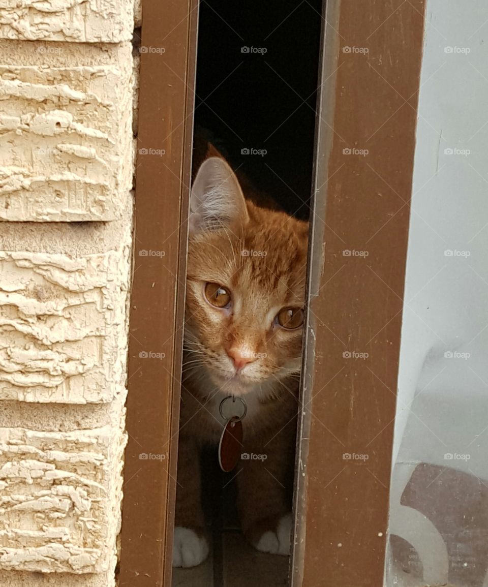 On the inside looking out...