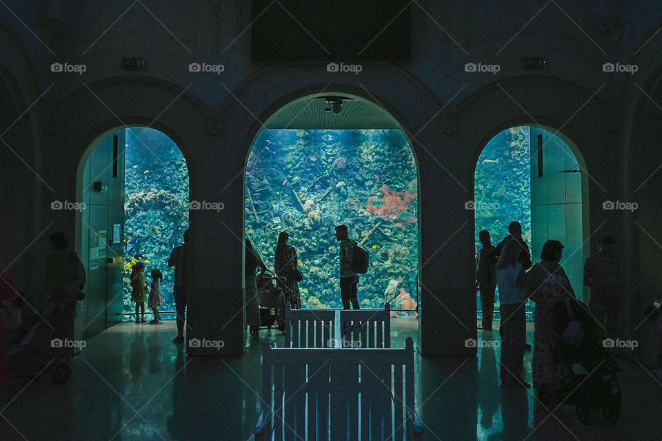 aquarium