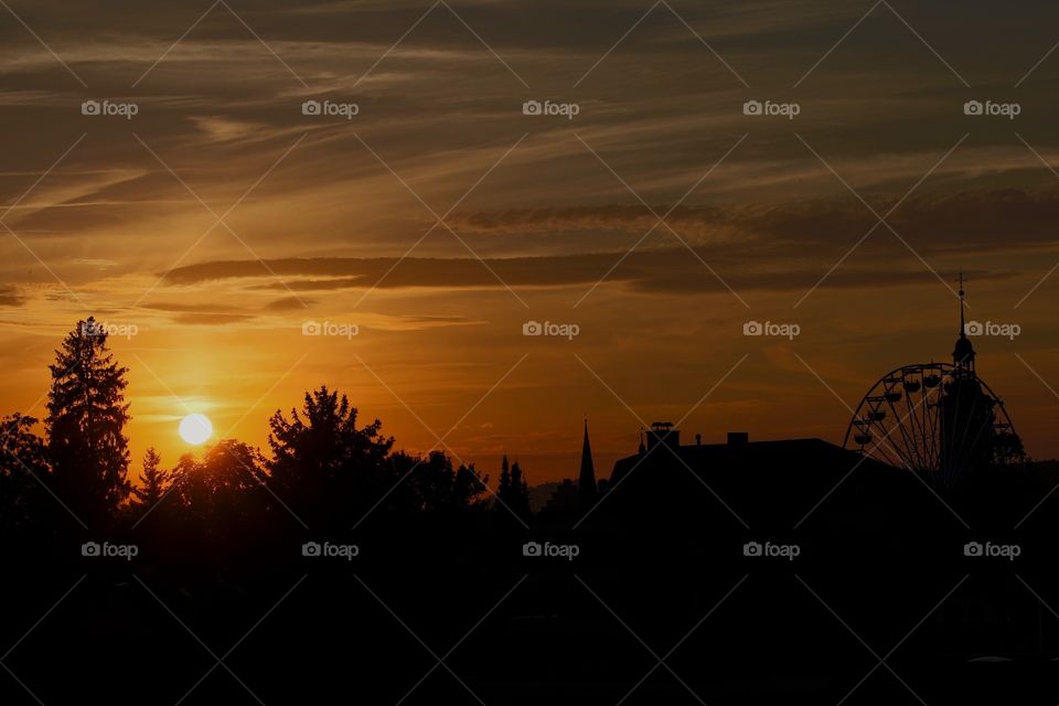 Silhouette of trees during sunset