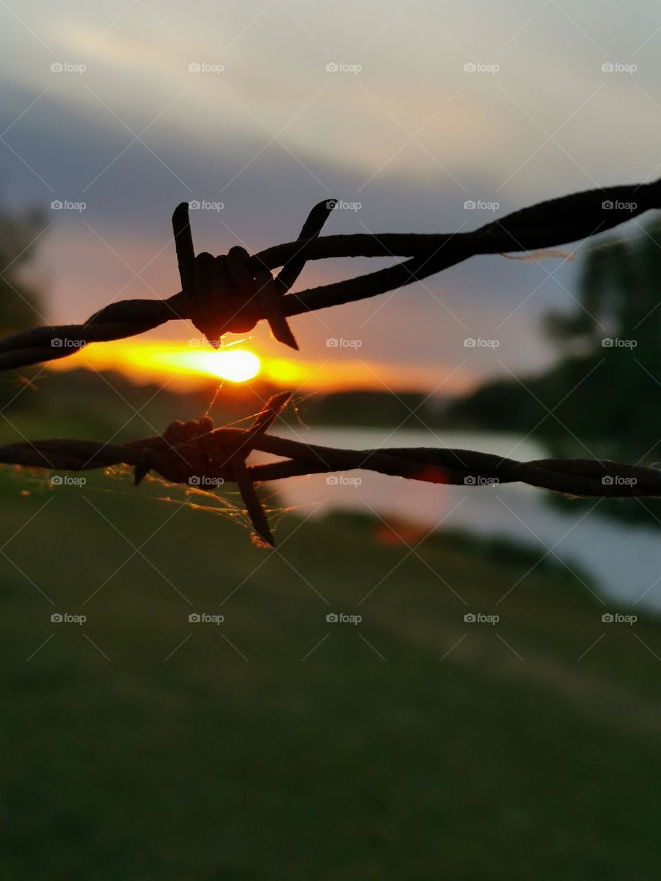 Sunset... barbed wire. 
Conceptual.