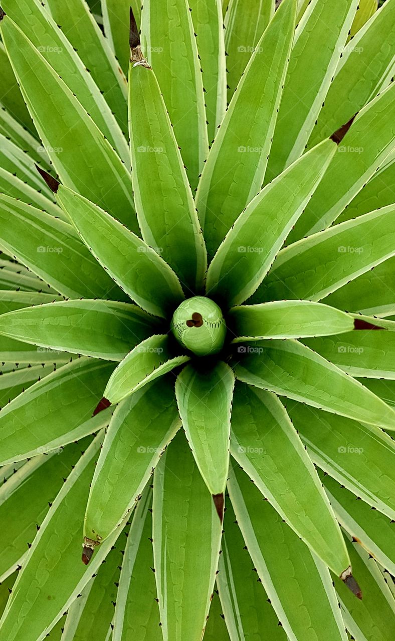 plan from another perspective