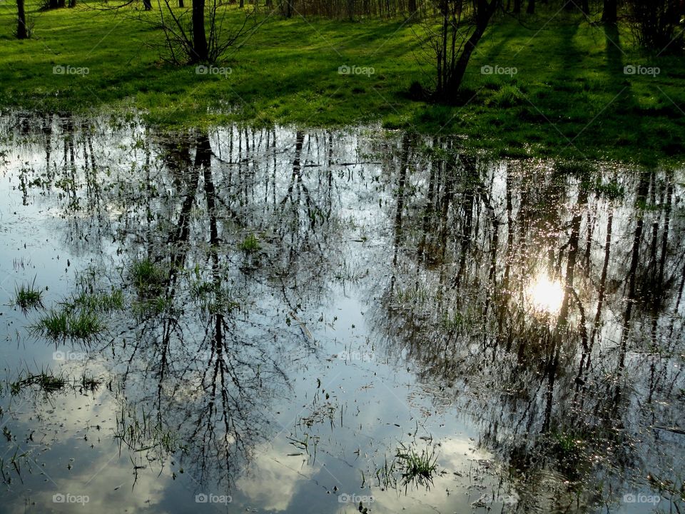 reflections nature