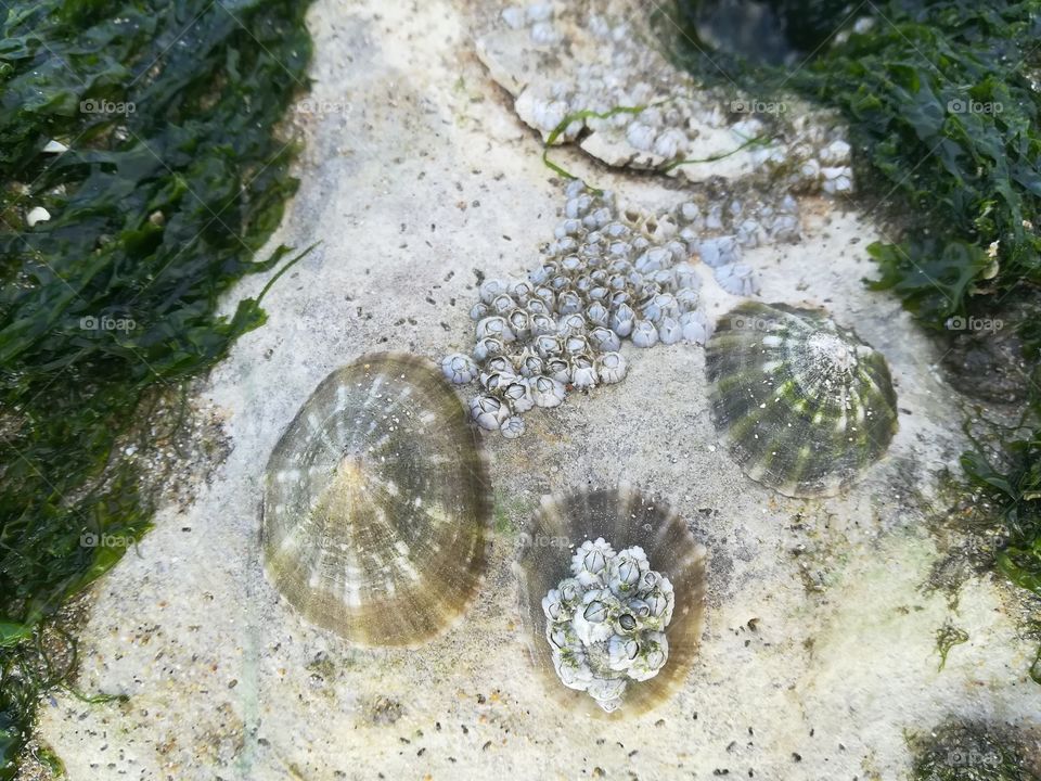 Entdeckung auf dem Meeresboden