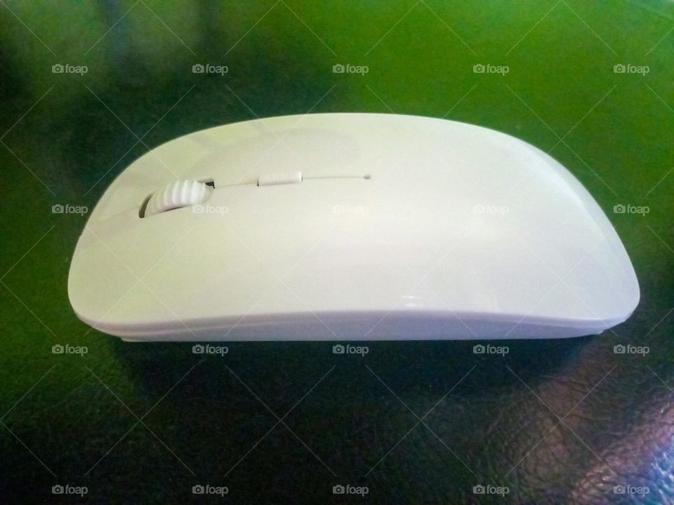 white mouse