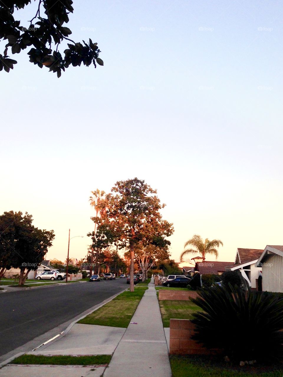 My Neighborhood View

Published by:
HappyBrownMonkey 