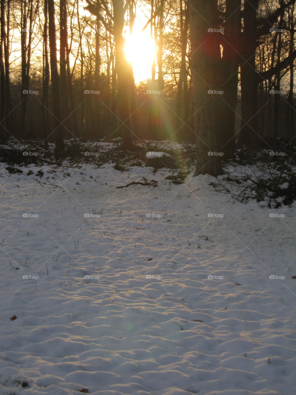 Winter, Snow, No Person, Landscape, Cold