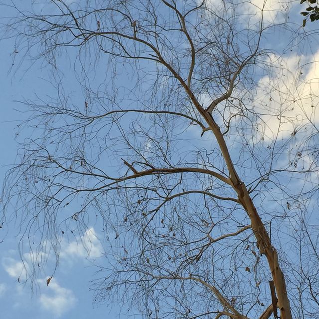 Winter in Saudi Arabia