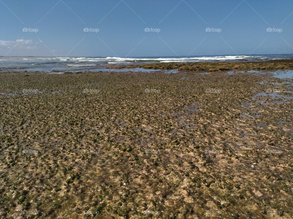 Strange rock in the beach