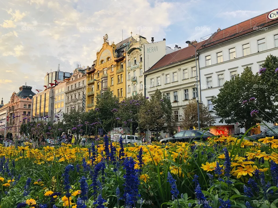 Prague