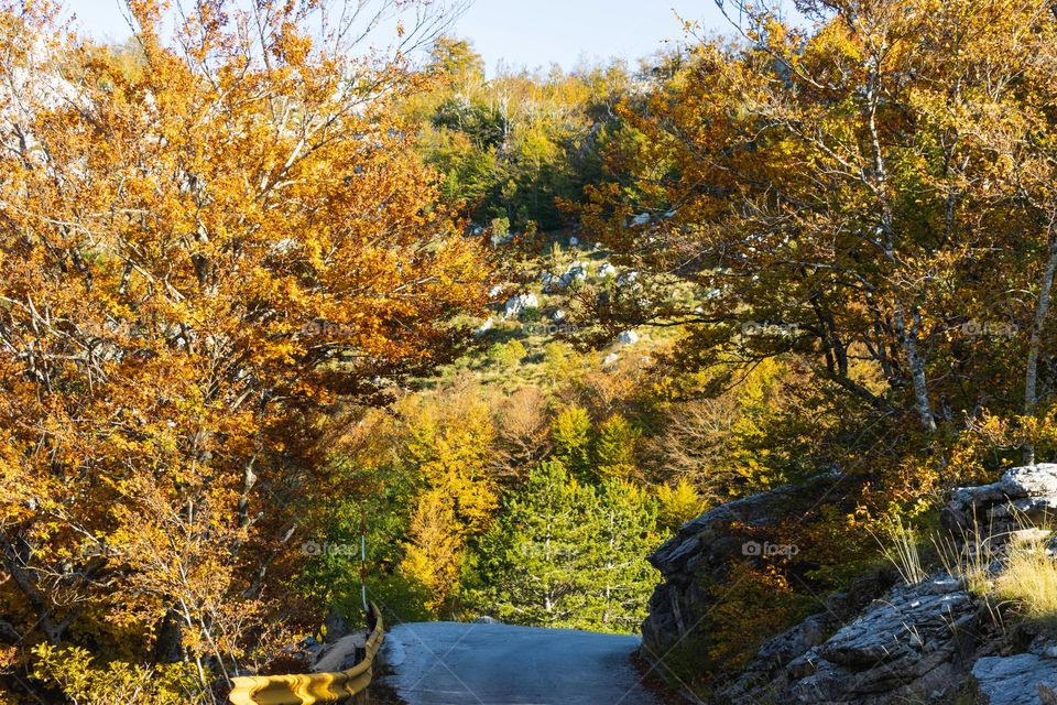 Autumn in a mountain