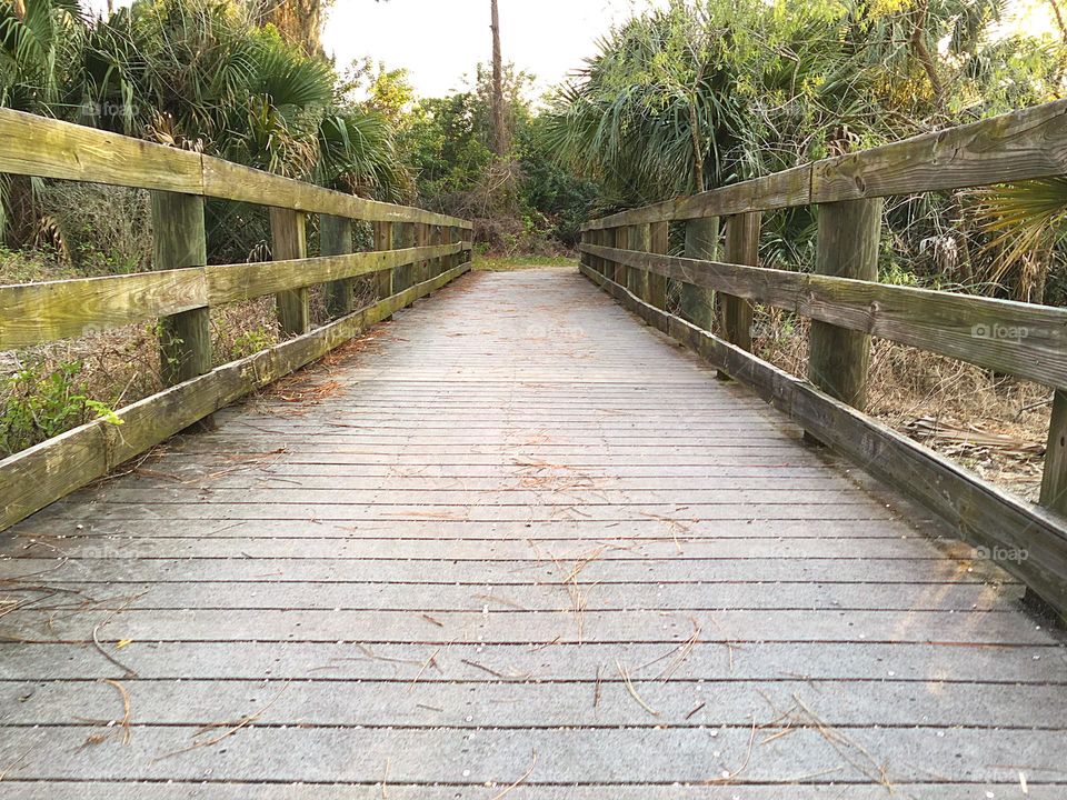 Boardwalk into the forest.