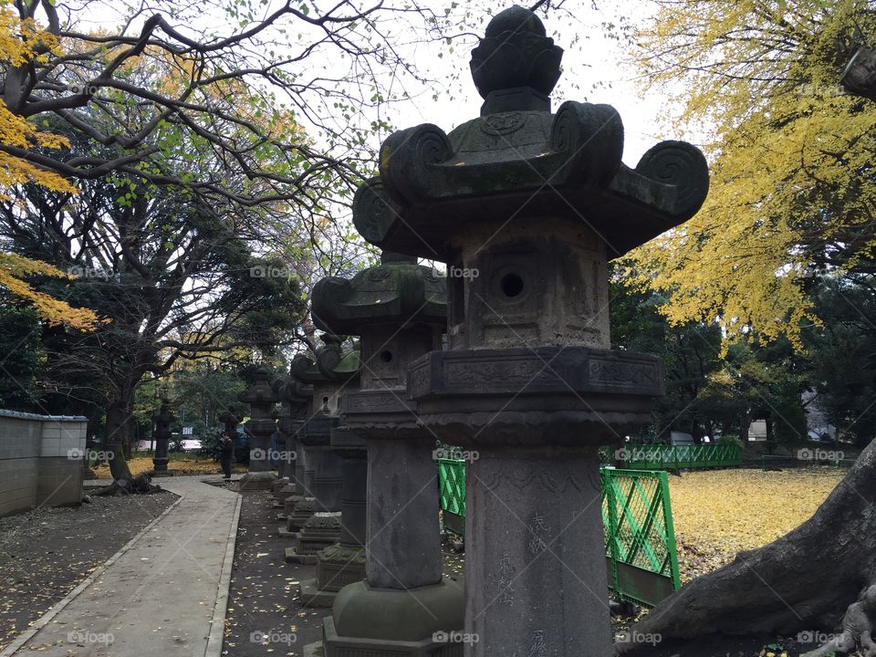 Toshogu Shrine in Tokyo. 