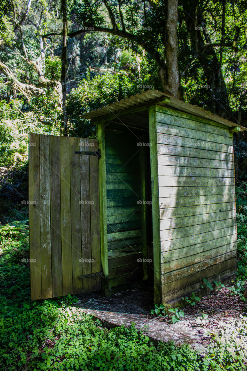 small outhouse in the woods