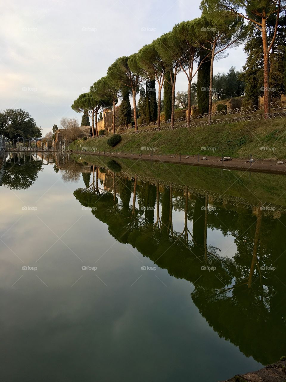 Reflection of Cyprus trees and umbrella pines at Hadrian's Villa, in the Italian countryside outside Rome 