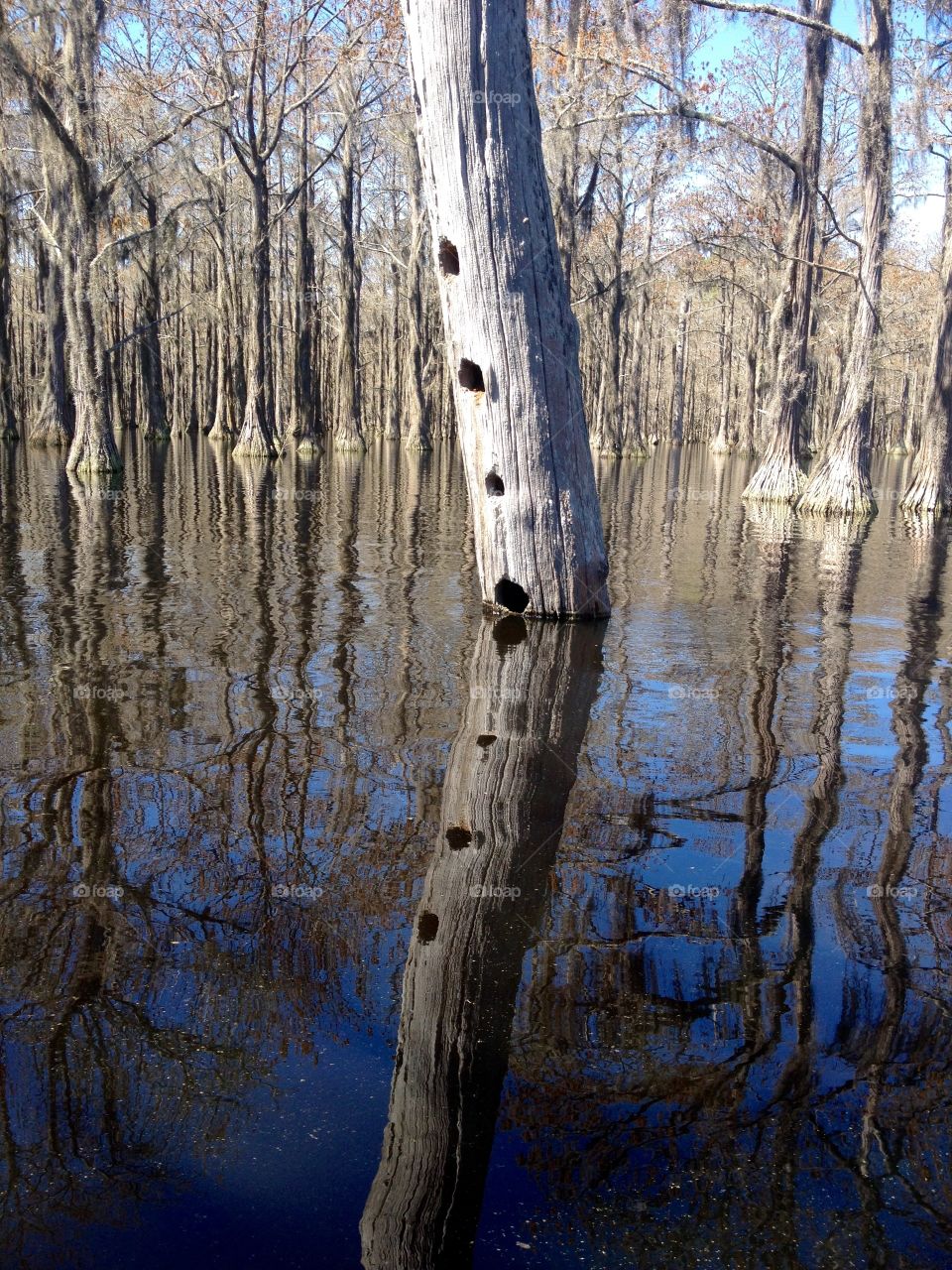 Seeing double. Lake reflections